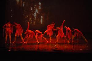 DSC_9386 - Copia